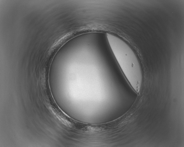 X0000078240442200611030923