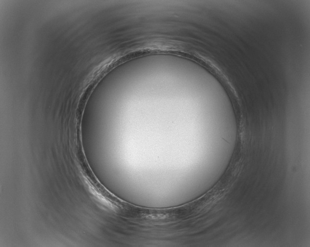 X0000078240445200611030923