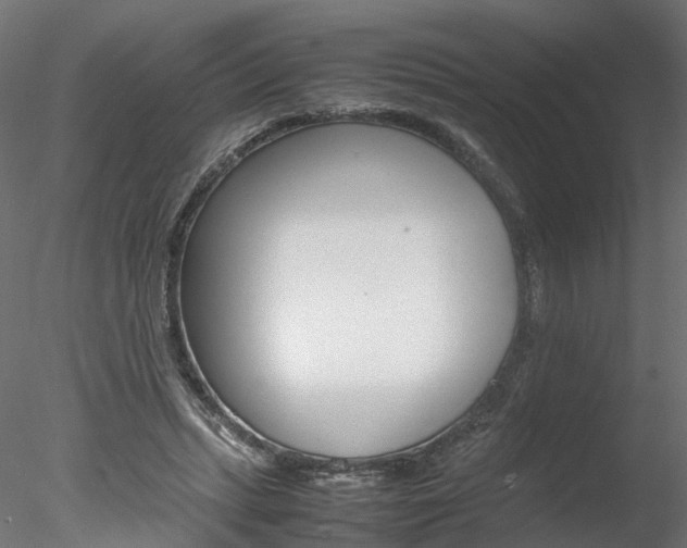 X0000078240447200611030923