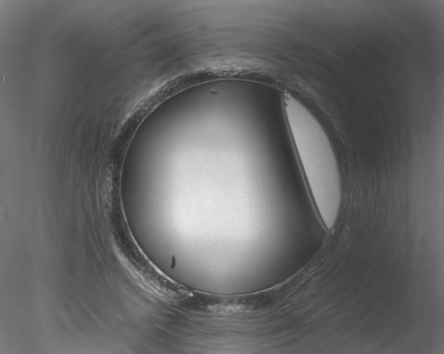 X0000078240448200611030923