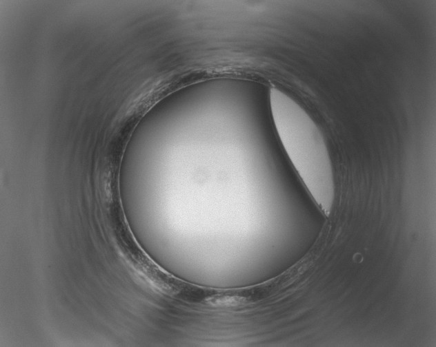X0000078240452200611030923