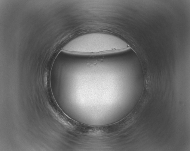 X0000078240454200611030924