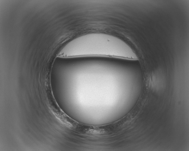 X0000078240455200611030924