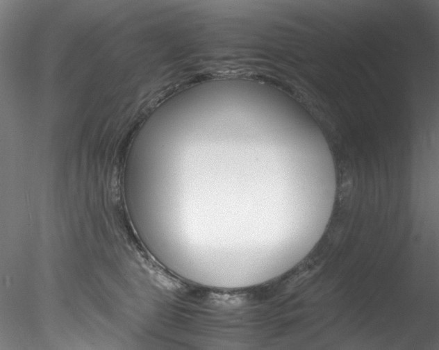 X0000078240469200611030924