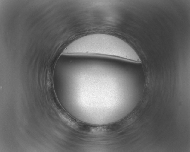 X0000078240470200611030924