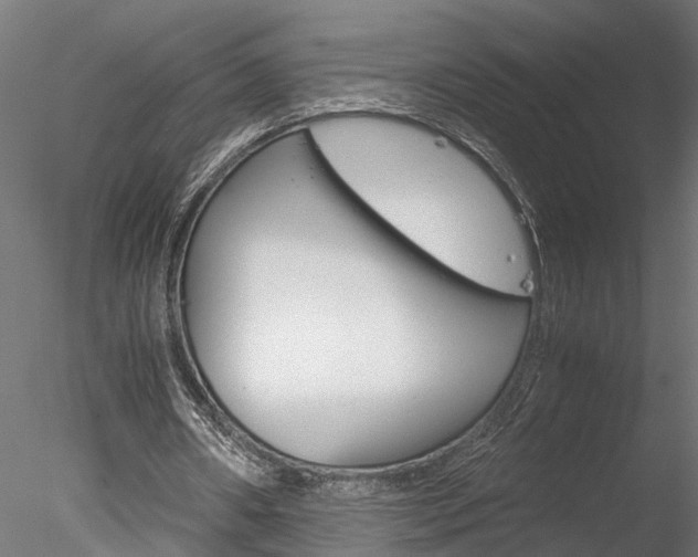 X0000078240482200611030923
