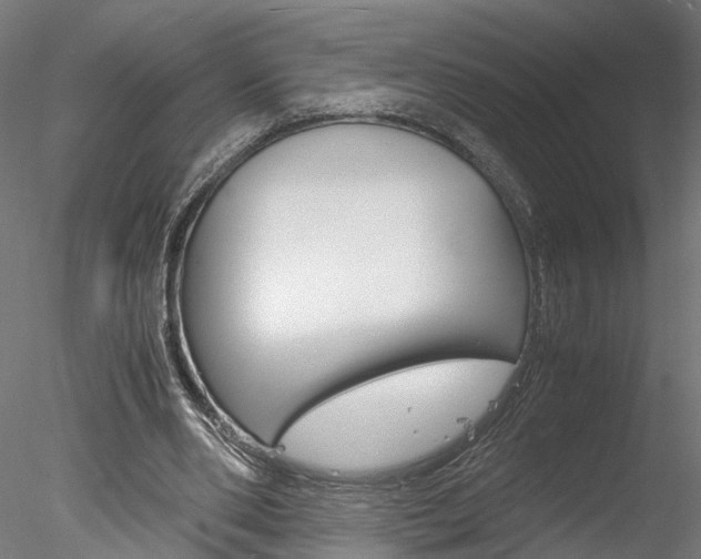 X0000078240486200611030923