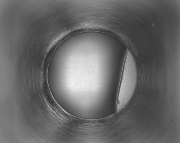 X0000078240488200611030923