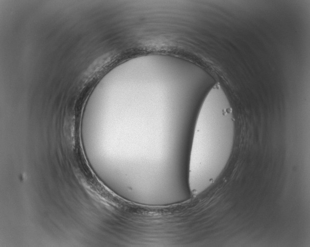 X0000078240494200611030923