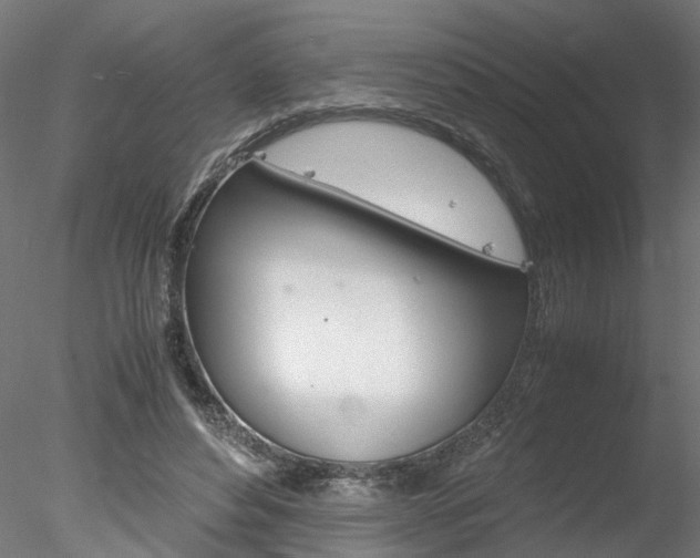 X0000078240496200611030923