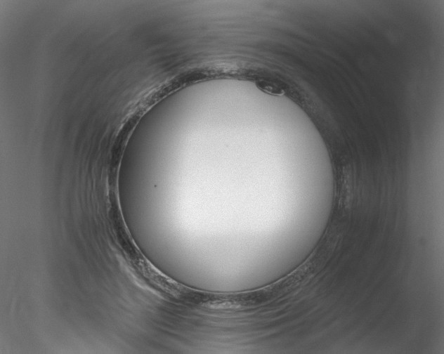 X0000078240500200611030923