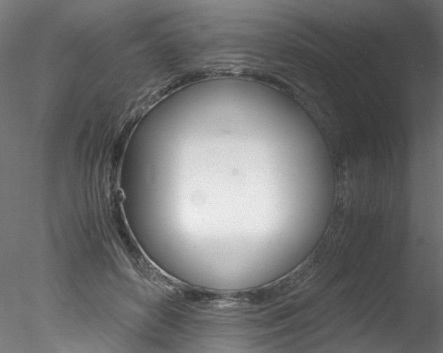 X0000078240504200611030923