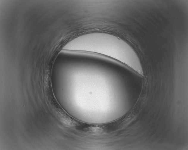 X0000078240509200611030923