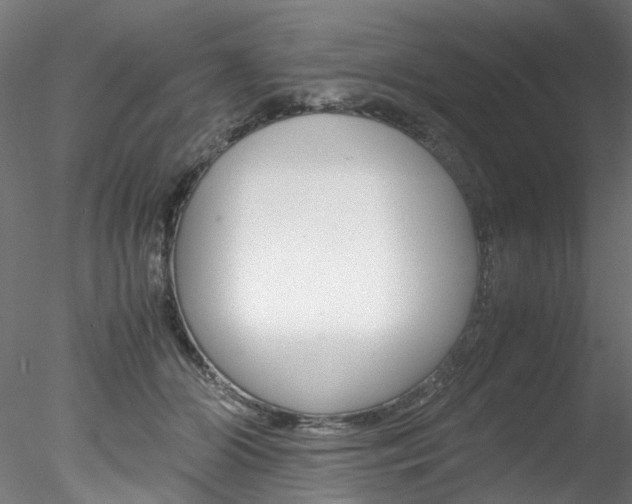 X0000078240510200611030923