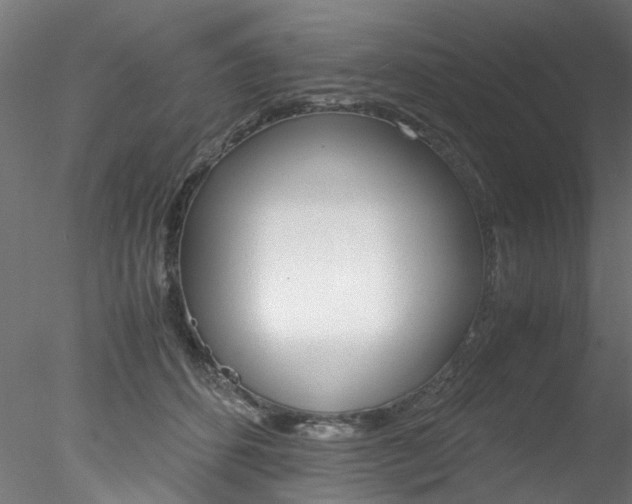 X0000078240512200611030923