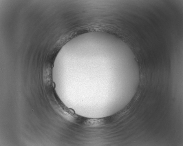 X0000078240526200611030922