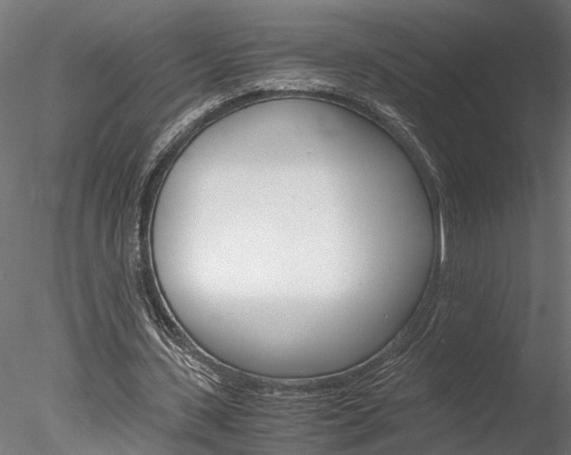 X0000078240531200611030922