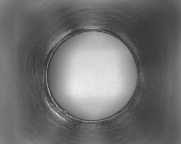 X0000078240533200611030922