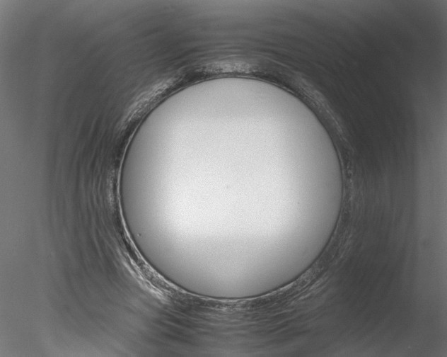 X0000078240537200611030922