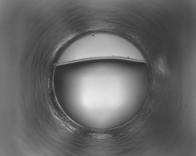 X0000078240539200611030922