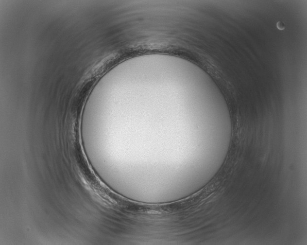 X0000078240542200611030922