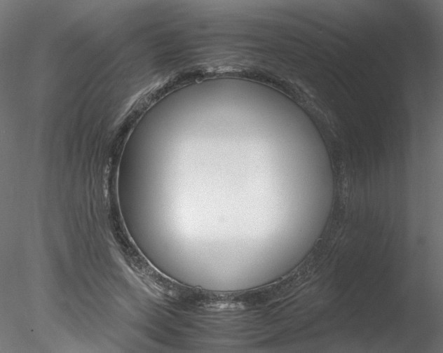 X0000078240543200611030922