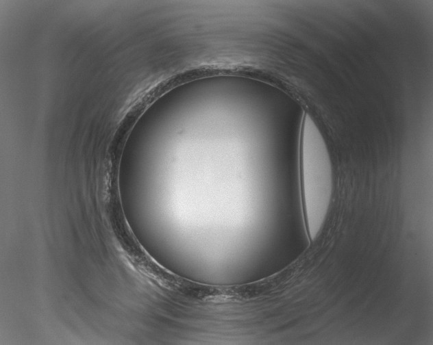 X0000078240544200611030922
