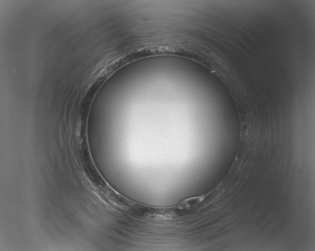 X0000078240548200611030922