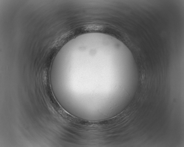 X0000078240551200611030922