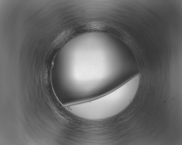 X0000078240552200611030922