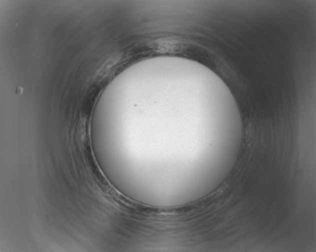 X0000078240554200611030922
