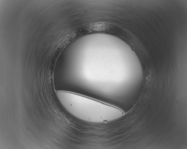 X0000078240555200611030922
