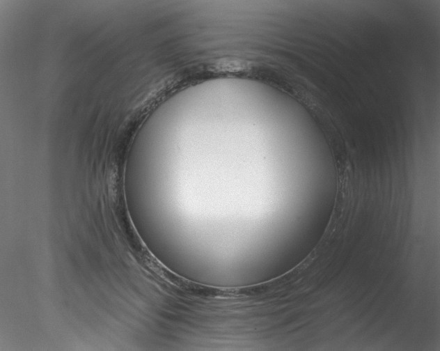 X0000078240556200611030922