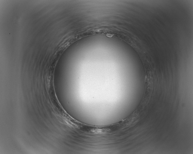 X0000078240558200611030922