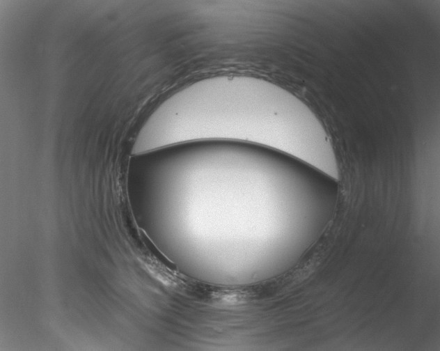 X0000078240564200611030922