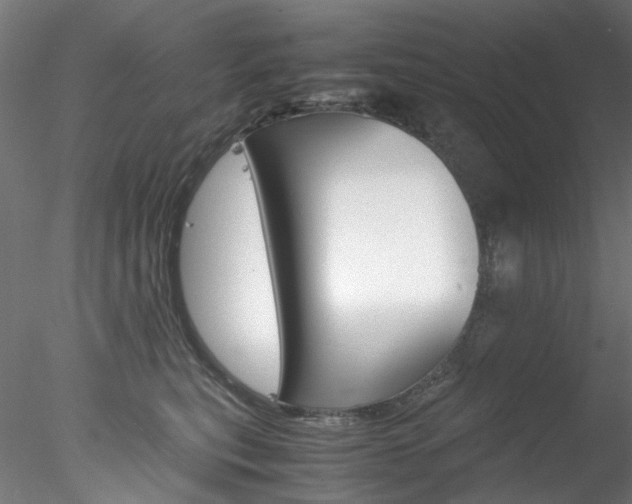 X0000078240567200611030922