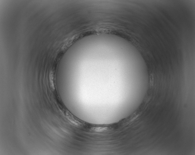 X0000078240575200611030922