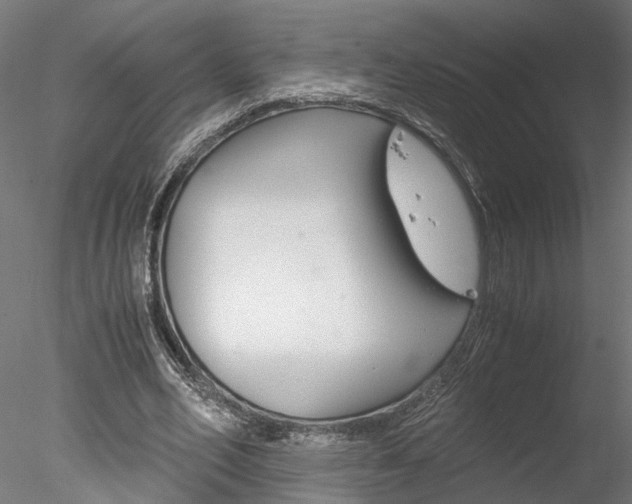 X0000078240582200611030921