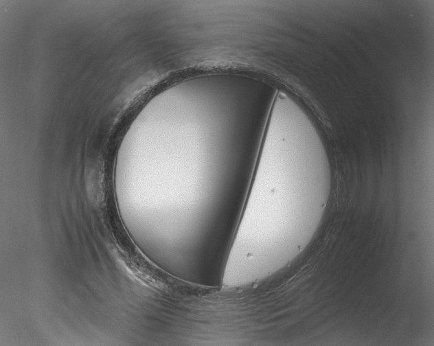 X0000078240588200611030921