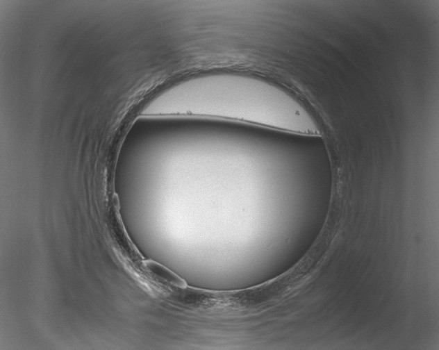 X0000078240589200611030921