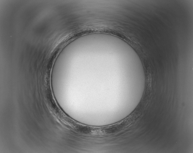 X0000078240591200611030921