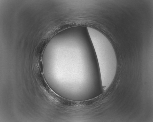 X0000078240593200611030921