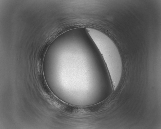 X0000078240597200611030921