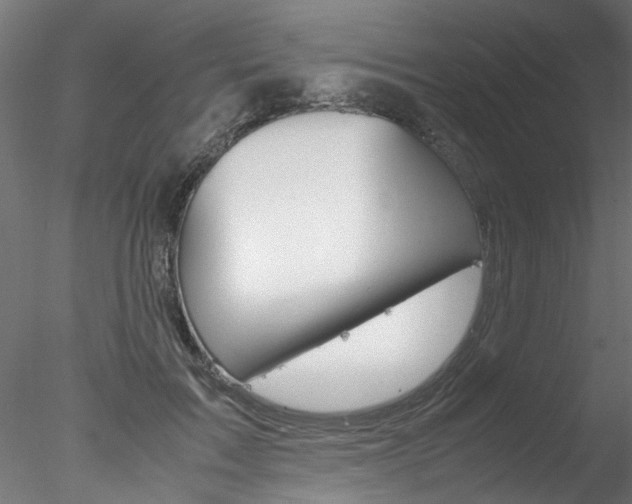 X0000078240603200611030921