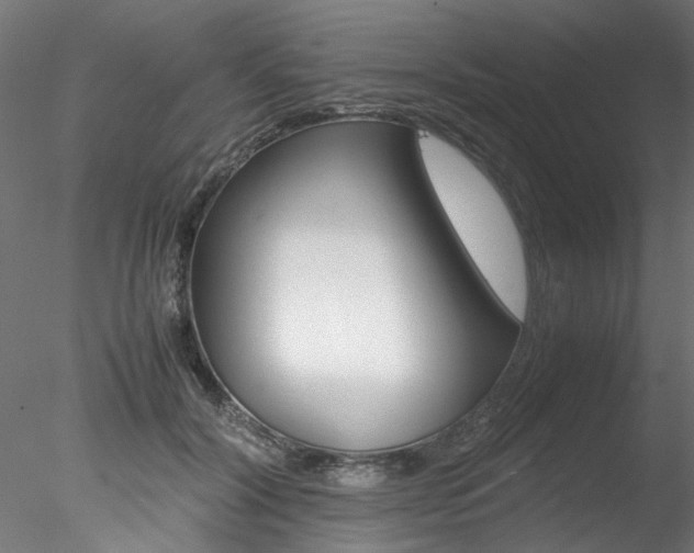 X0000078240604200611030921