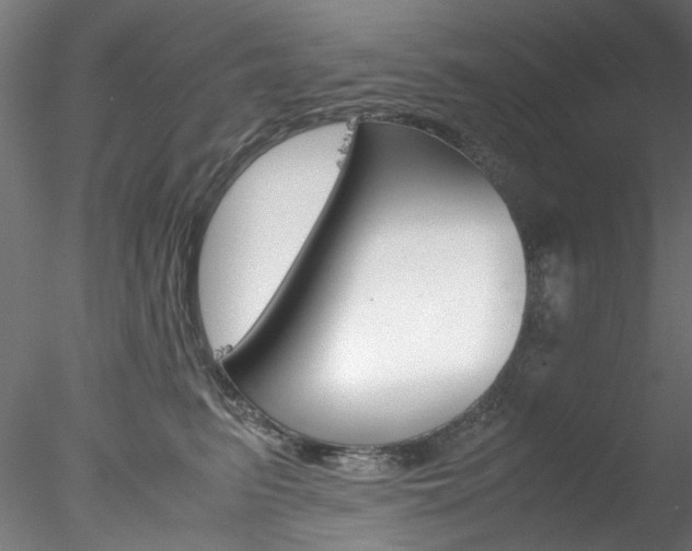 X0000078240615200611030921