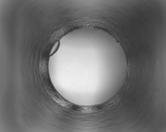 X0000078240623200611030921