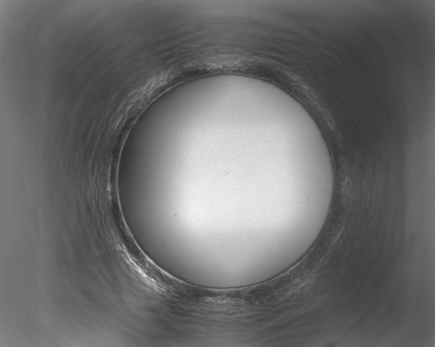 X0000078240633200611030920