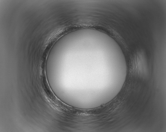 X0000078240635200611030920