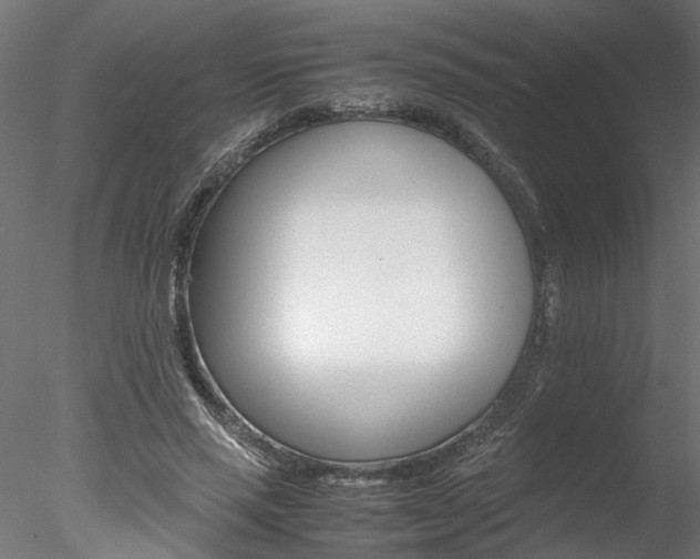 X0000078240637200611030920